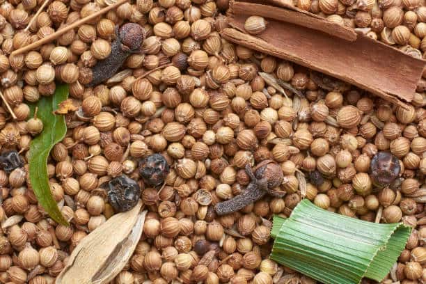 تصویر 1 از قیمت تخم گشنیز اعلا با کیفیت ارزان + خرید عمده